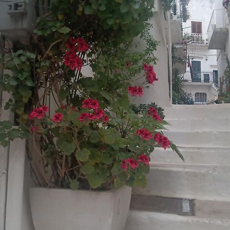 Hotel La Chicca Di C.Cavour Ostuni Exteriér fotografie