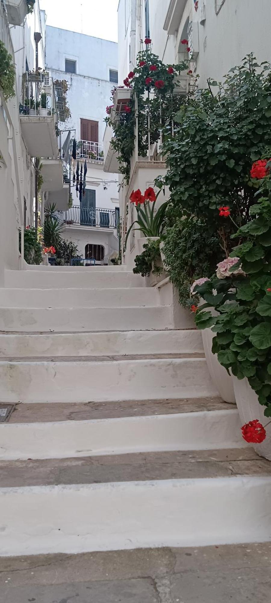 Hotel La Chicca Di C.Cavour Ostuni Exteriér fotografie
